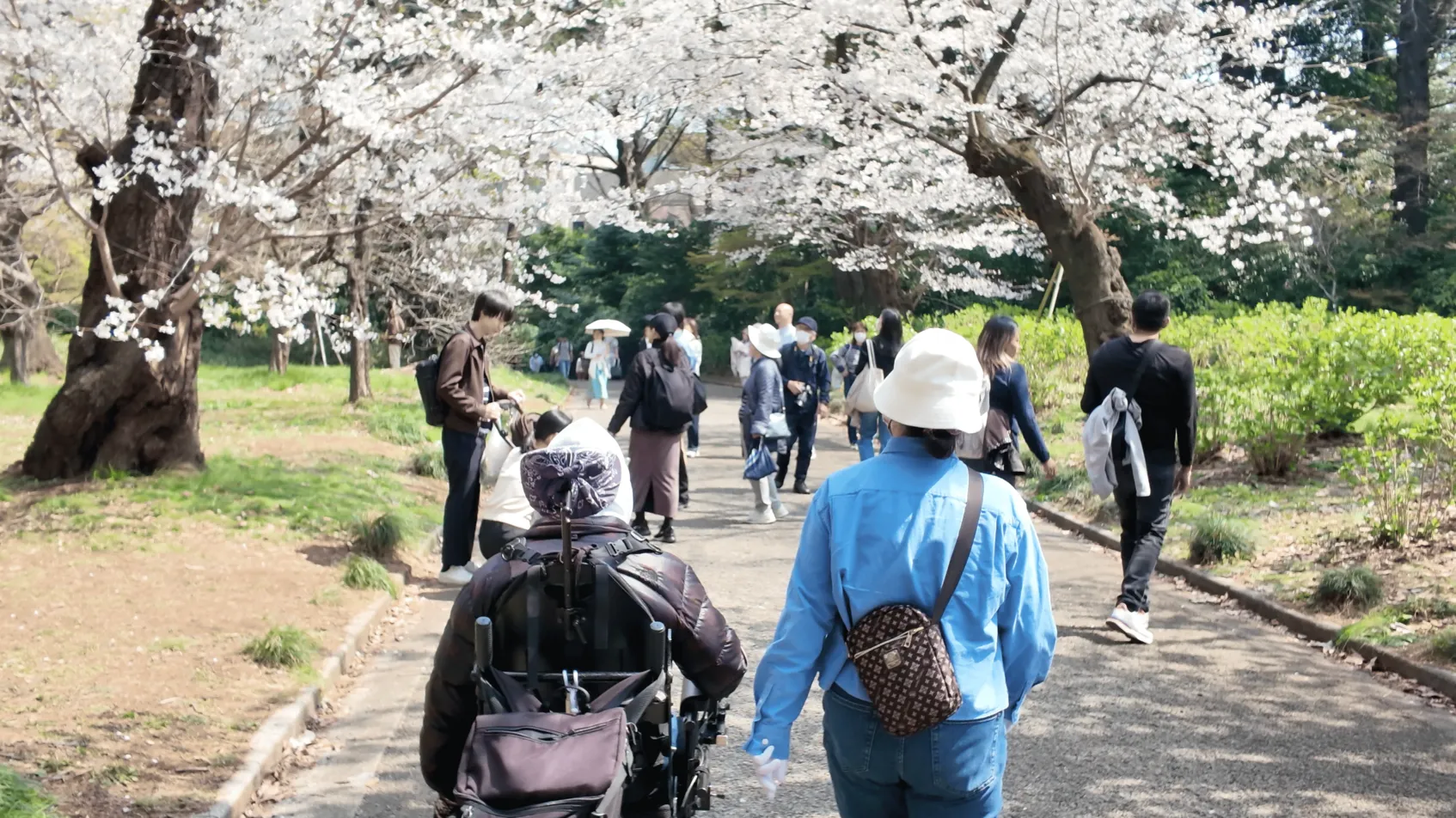 利用者さんとお花見へ。重度訪問介護の外出支援レポート